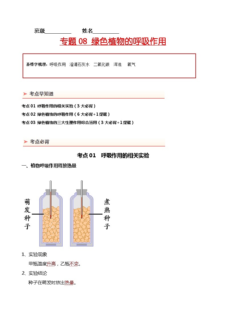 【2024年会考】初中生物 专题08 绿色植物的呼吸作用-背诵清单第1页