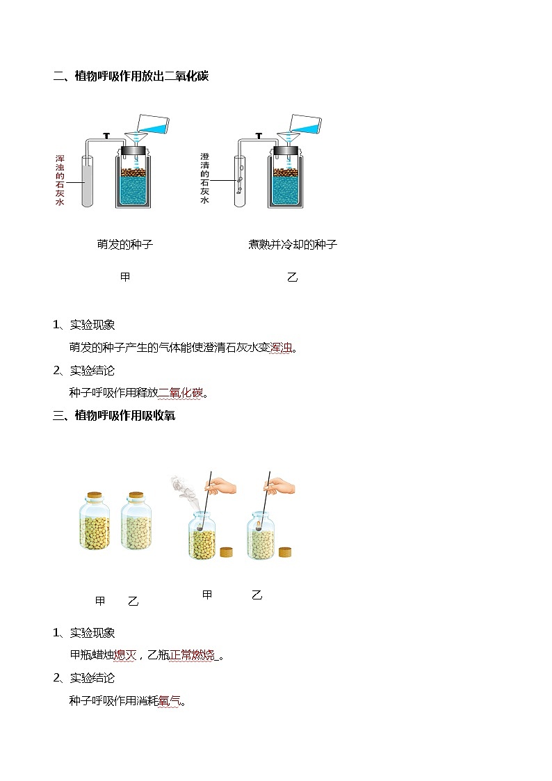 【2024年会考】初中生物 专题08 绿色植物的呼吸作用-背诵清单第2页