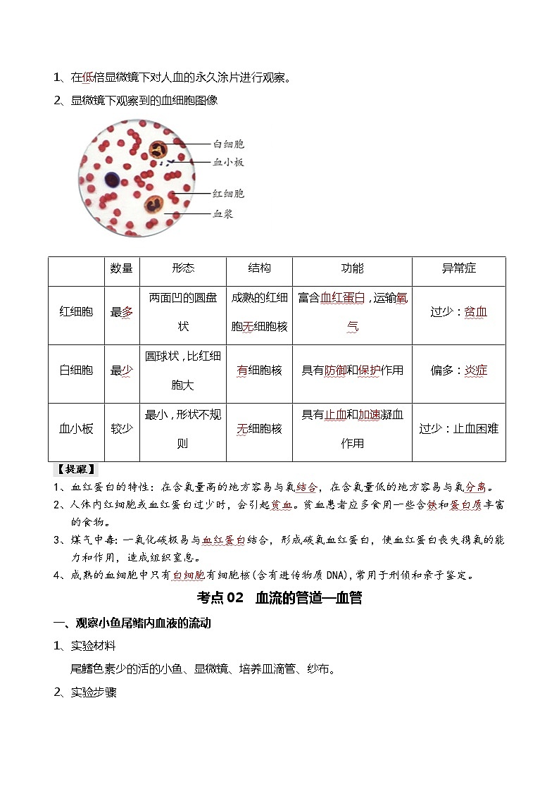 【2024年会考】初中生物 专题12 人体内物质的运输-背诵清单第2页