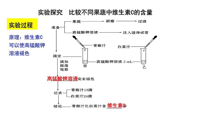 【2024会考】初中生物 考点专题12 人体的营养-课件第5页