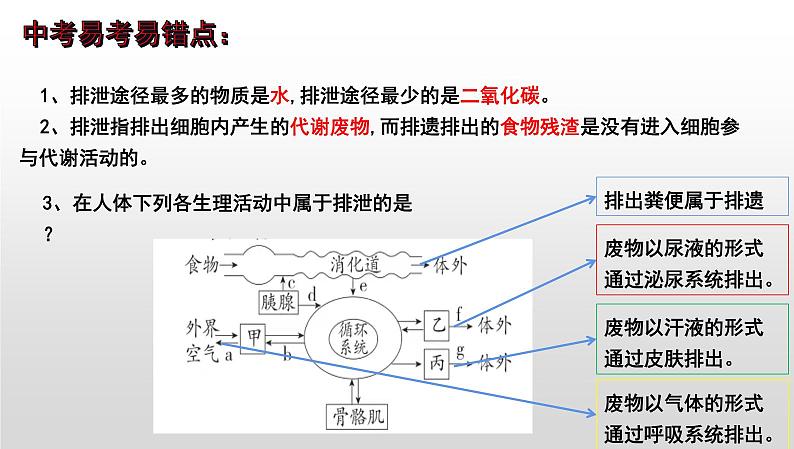 【2024会考】初中生物 考点专题16 人体内废物的排出-课件02