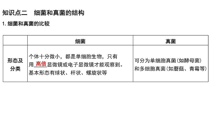 【2024会考】初中生物 考点专题19 生物圈中的微生物-课件第4页