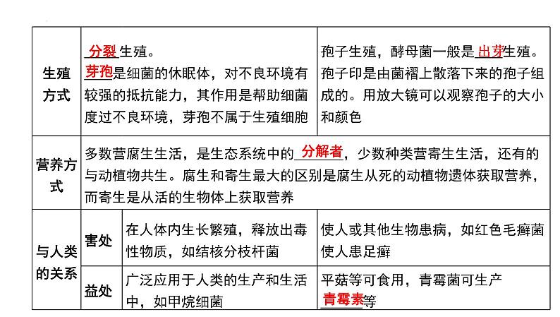 【2024会考】初中生物 考点专题19 生物圈中的微生物-课件第6页