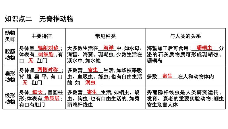 【2024会考】初中生物 考点专题20 动物的主要类群-课件02