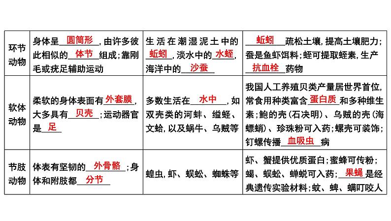 【2024会考】初中生物 考点专题20 动物的主要类群-课件03