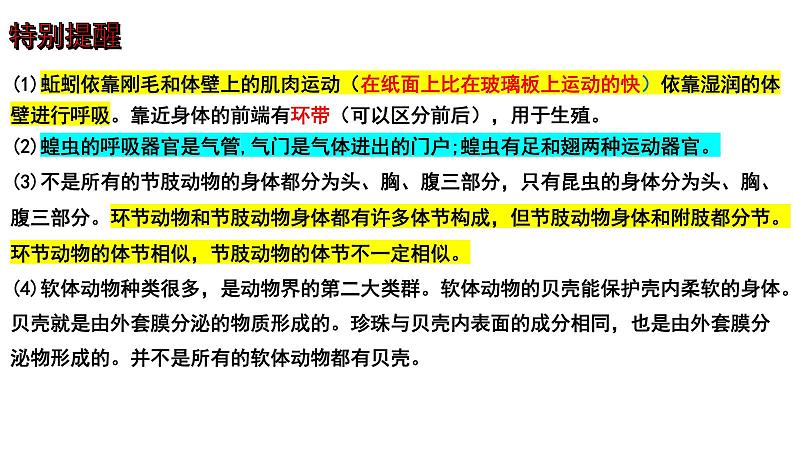 【2024会考】初中生物 考点专题20 动物的主要类群-课件07