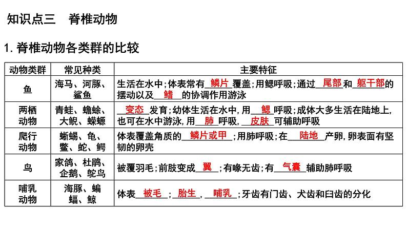 【2024会考】初中生物 考点专题20 动物的主要类群-课件08