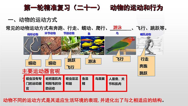 【2024会考】初中生物 考点专题21 动物的运动和行为-课件第1页