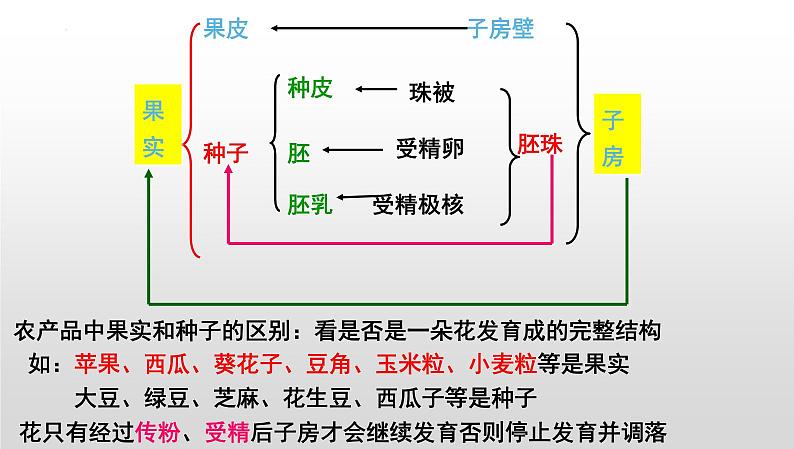 【2024会考】初中生物 考点专题22 生物的生殖和发育-课件03