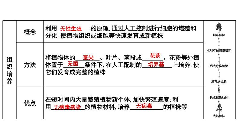 【2024会考】初中生物 考点专题22 生物的生殖和发育-课件07