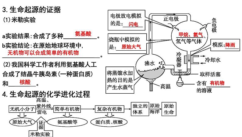 【2024会考】初中生物 考点专题24 生物的进化-课件02