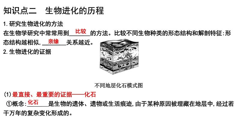 【2024会考】初中生物 考点专题24 生物的进化-课件05