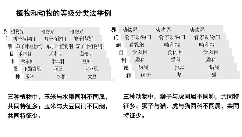 【2024会考】初中生物 考点专题25 生物的分类和生物的多样性-课件第7页