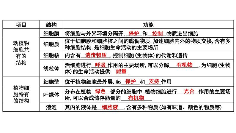 【2024会考】初中生物 考点专题04 观察生物的结构-课件03