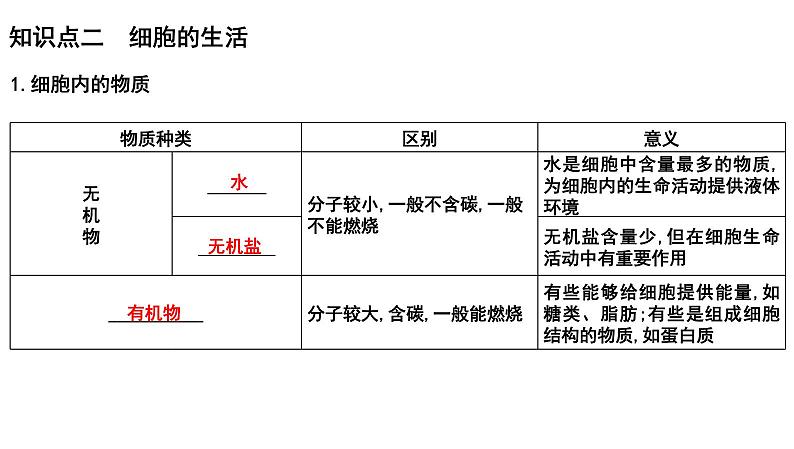 【2024会考】初中生物 考点专题04 观察生物的结构-课件06