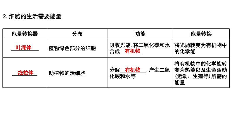 【2024会考】初中生物 考点专题04 观察生物的结构-课件07