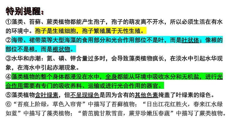 【2024会考】初中生物 考点专题06 生物圈中有哪些绿色植物及种子的萌发-课件03