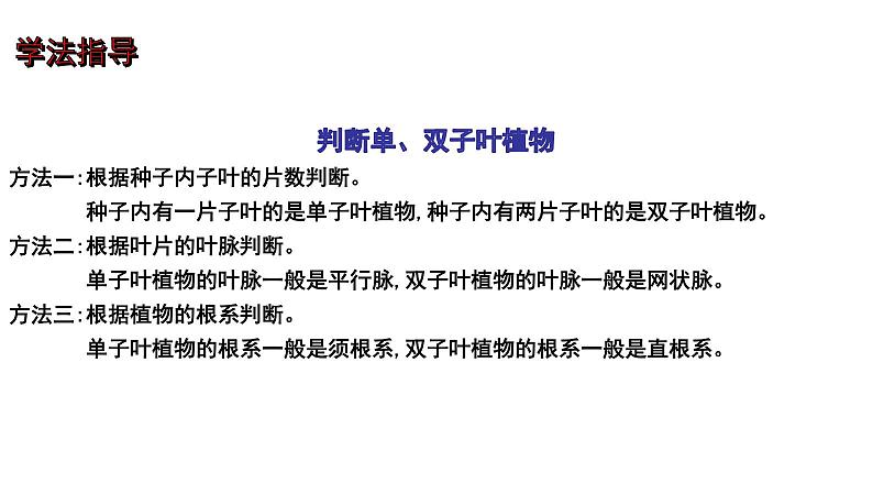 【2024会考】初中生物 考点专题06 生物圈中有哪些绿色植物及种子的萌发-课件08