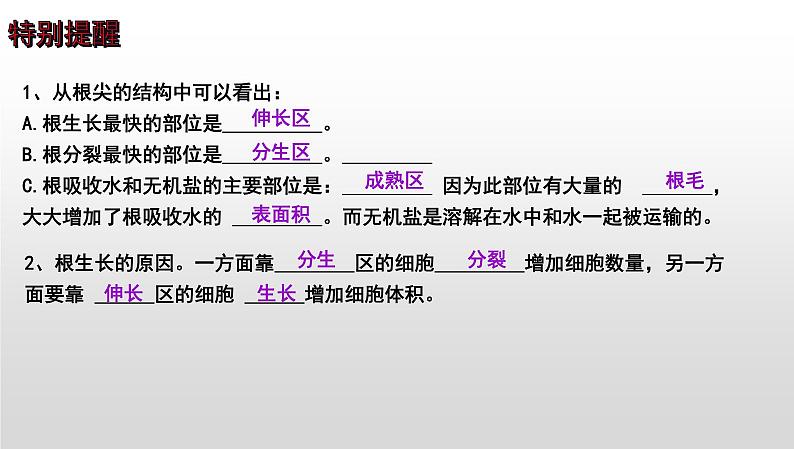 【2024会考】初中生物 考点专题07 被子植物的一生-课件04