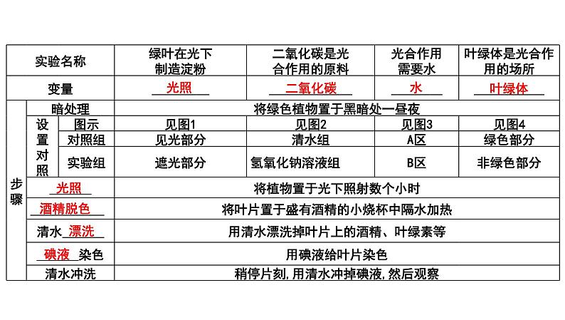 【2024会考】初中生物 考点专题09 绿色植物的光合作用-课件04