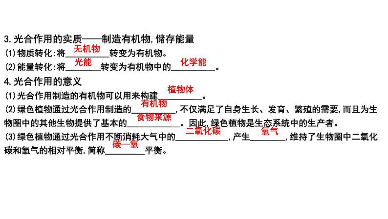 【2024会考】初中生物 考点专题09 绿色植物的光合作用-课件07