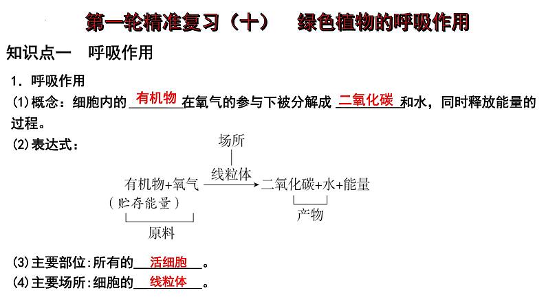 【2024会考】初中生物 考点专题10 绿色植物的呼吸作用-课件01