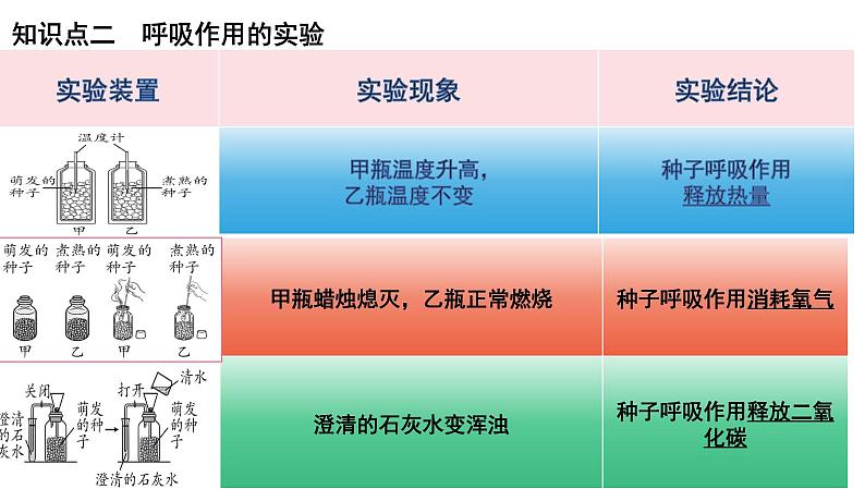 【2024会考】初中生物 考点专题10 绿色植物的呼吸作用-课件03