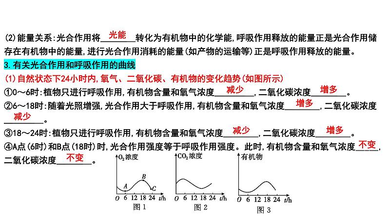 【2024会考】初中生物 考点专题10 绿色植物的呼吸作用-课件08