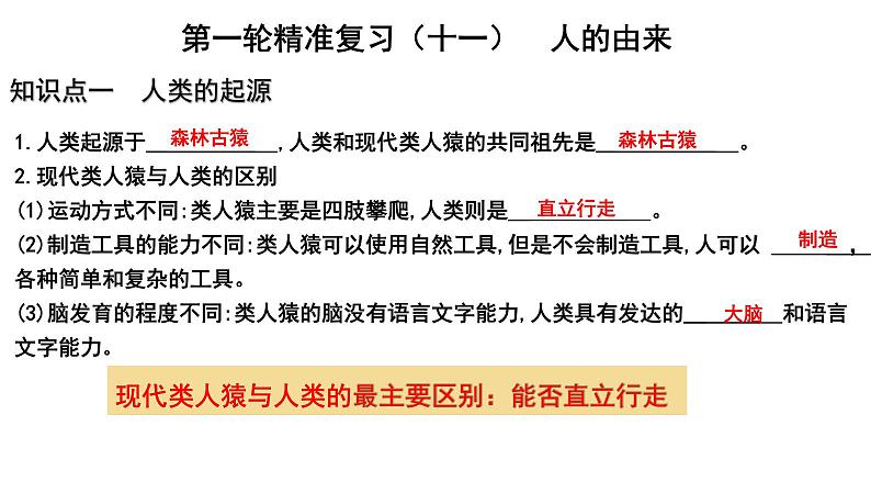 【2024会考】初中生物 考点专题11 人的由来-课件01