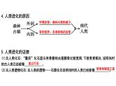 【2024会考】初中生物 考点专题11 人的由来-课件