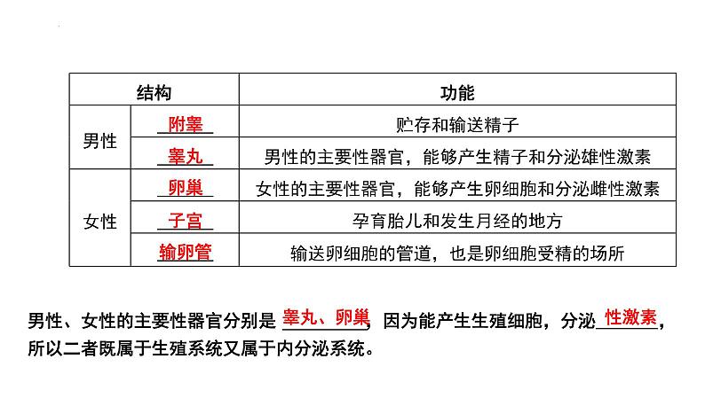 【2024会考】初中生物 考点专题11 人的由来-课件05