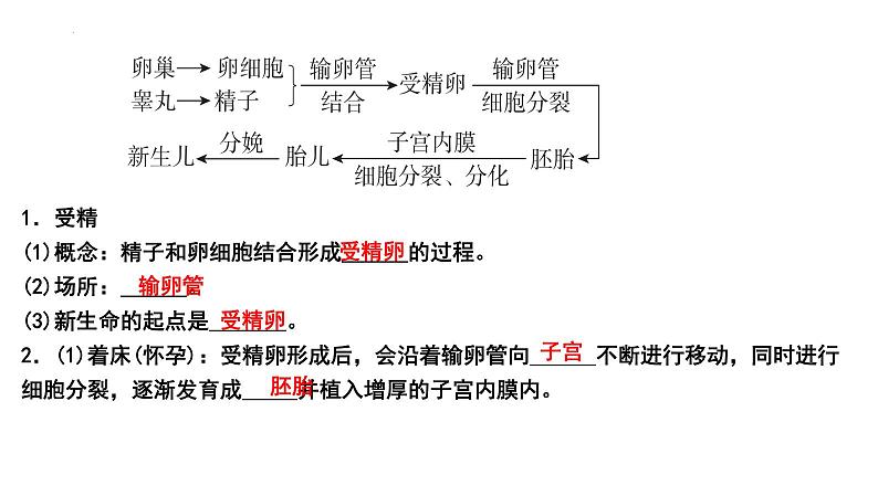 【2024会考】初中生物 考点专题11 人的由来-课件07