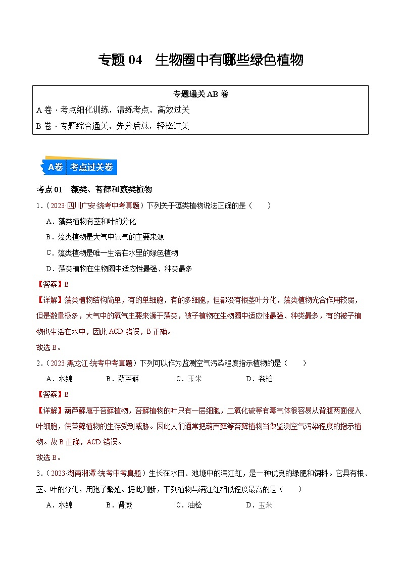专题04 生物圈中有哪些绿色植物（解析版）第1页