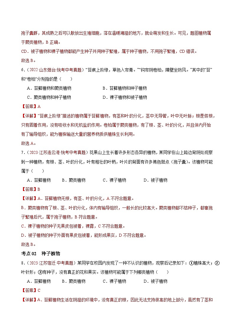 专题04 生物圈中有哪些绿色植物（解析版）第3页