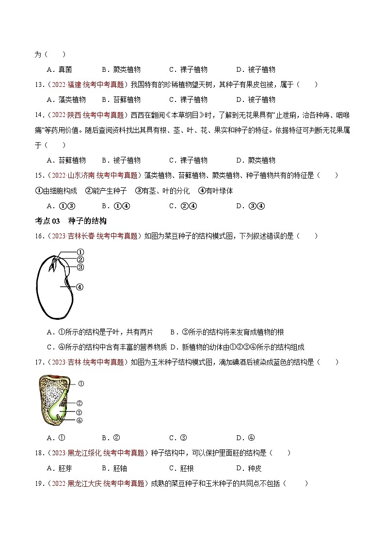 专题04 生物圈中有哪些绿色植物（原卷版）第3页