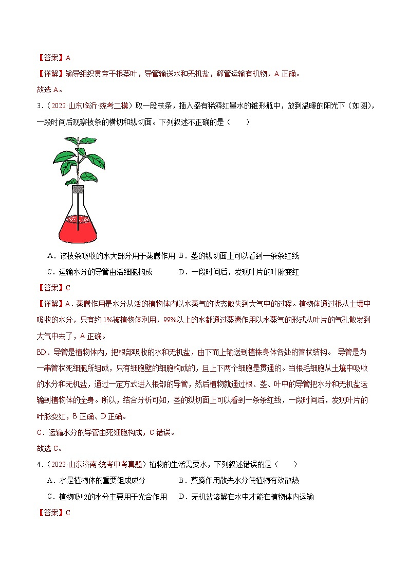 专题06 绿色植物与生物圈的水循环（解析版）第2页