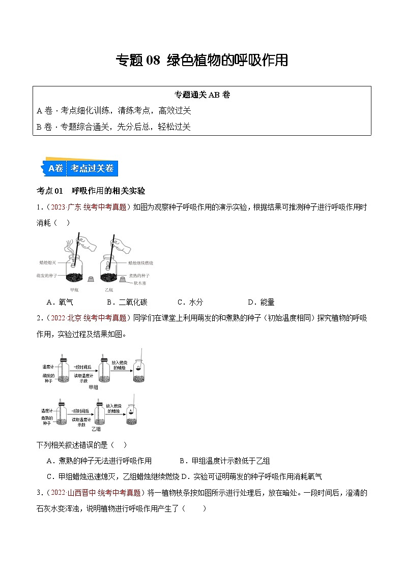 专题08 绿色植物的呼吸作用（原卷版）第1页