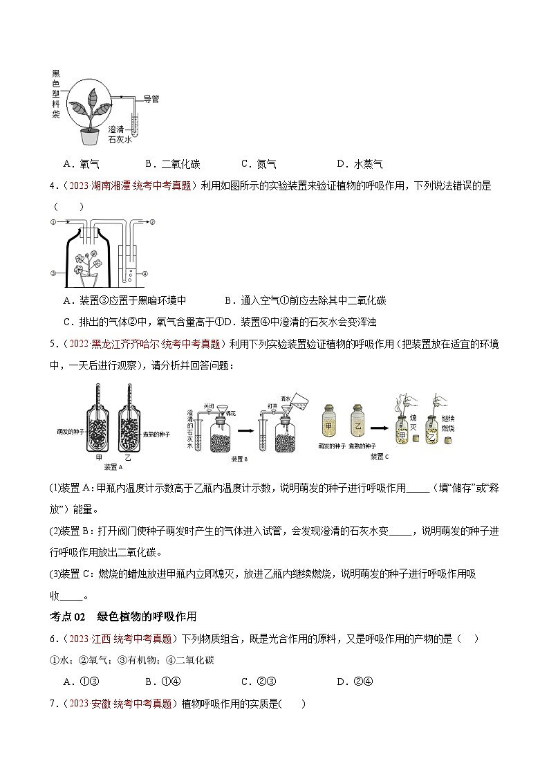 专题08 绿色植物的呼吸作用（原卷版）第2页