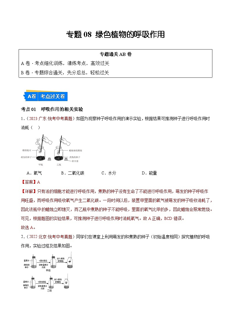 专题08 绿色植物的呼吸作用（解析版）第1页