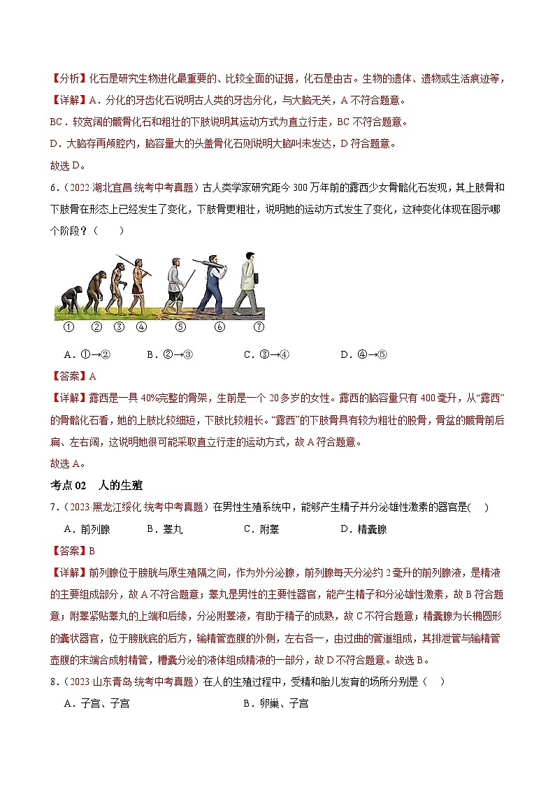【2024年会考】初中生物 专题09 人的由来练习03