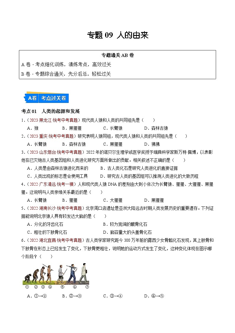 【2024年会考】初中生物 专题09 人的由来练习01