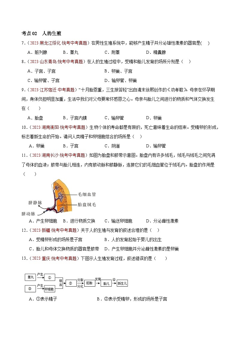 【2024年会考】初中生物 专题09 人的由来练习02