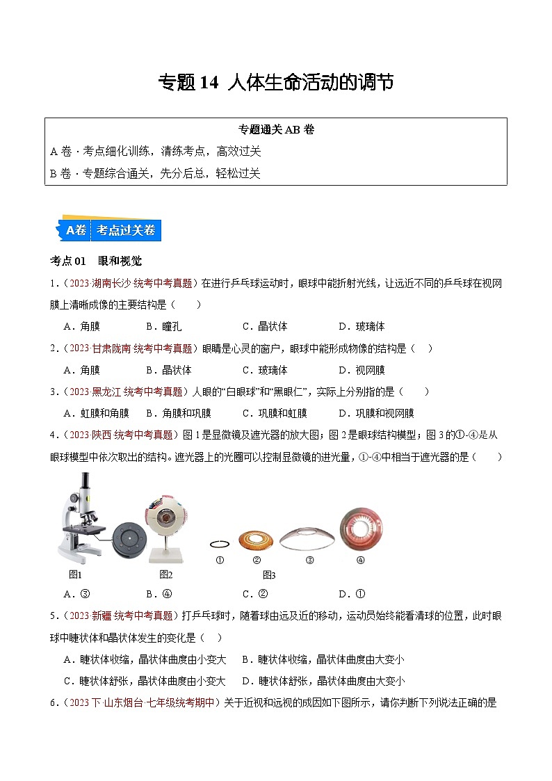 【2024年会考】初中生物 专题14 人体生命活动的调节练习01