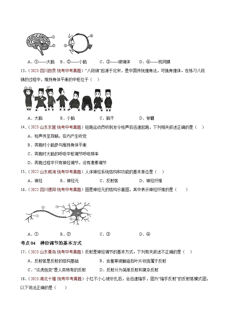 【2024年会考】初中生物 专题14 人体生命活动的调节练习03