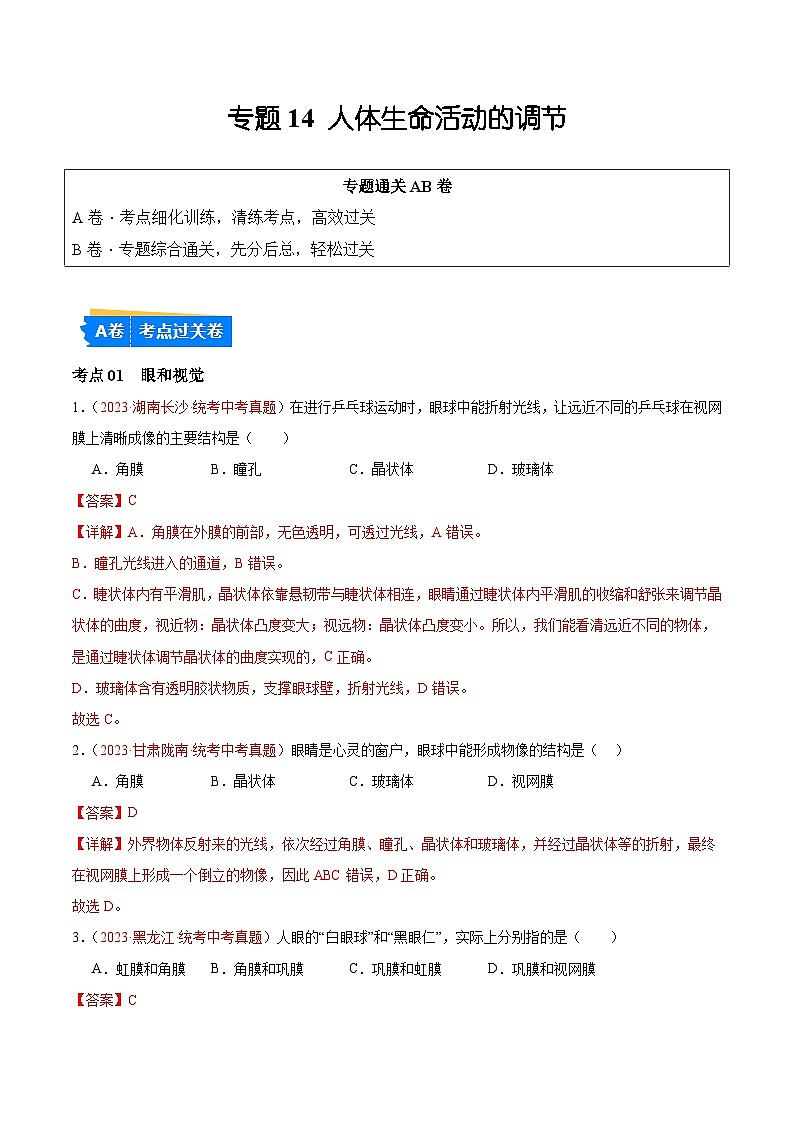 【2024年会考】初中生物 专题14 人体生命活动的调节练习01