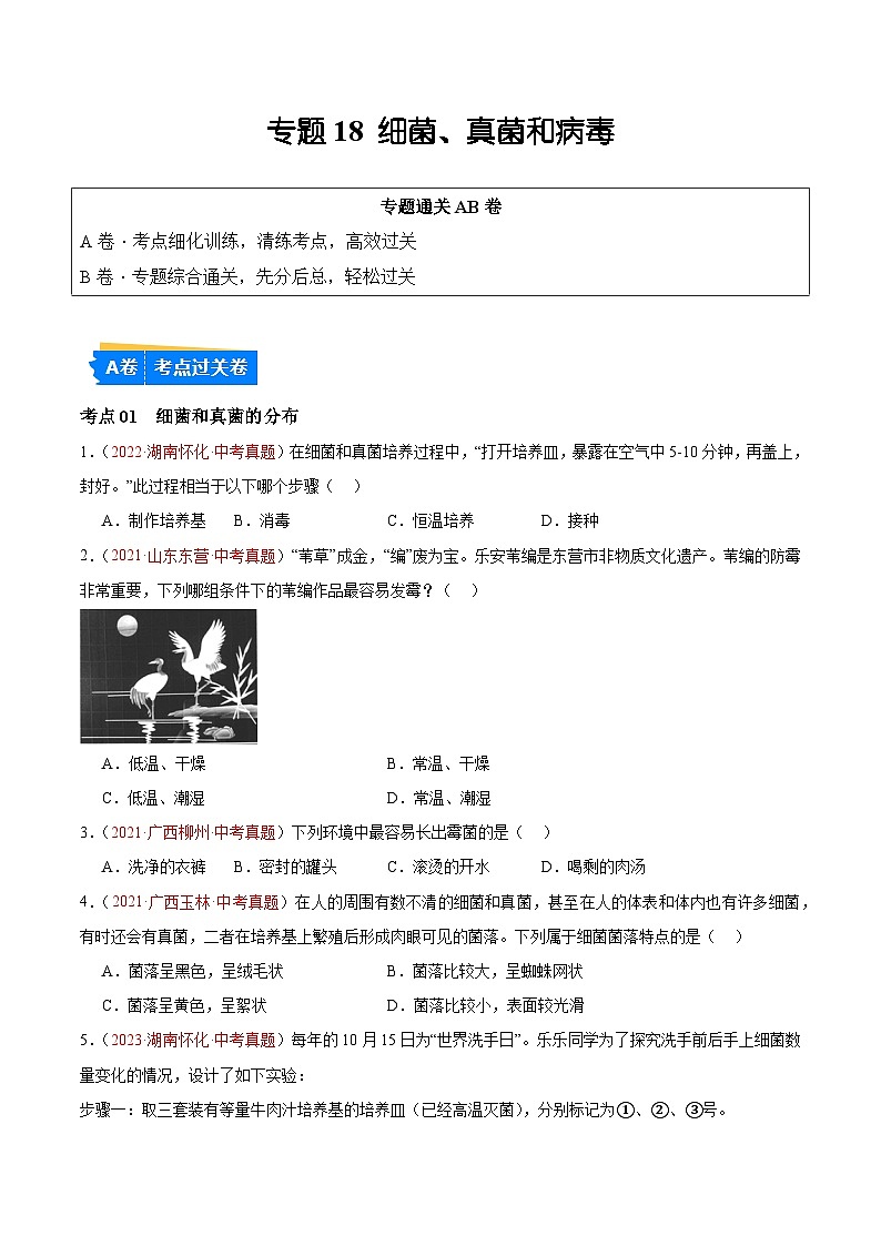 【2024年会考】初中生物 专题18 细菌、真菌和病毒练习01