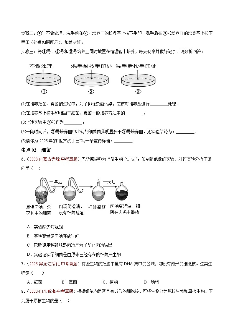 【2024年会考】初中生物 专题18 细菌、真菌和病毒练习02