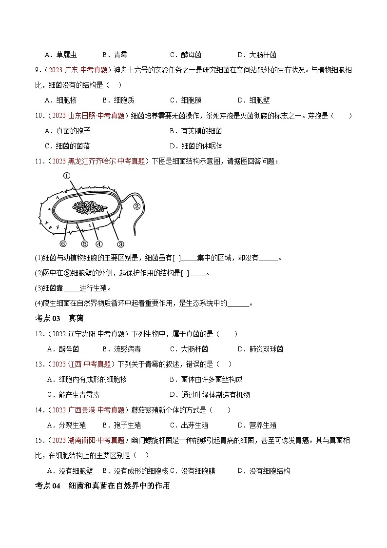 【2024年会考】初中生物 专题18 细菌、真菌和病毒练习03