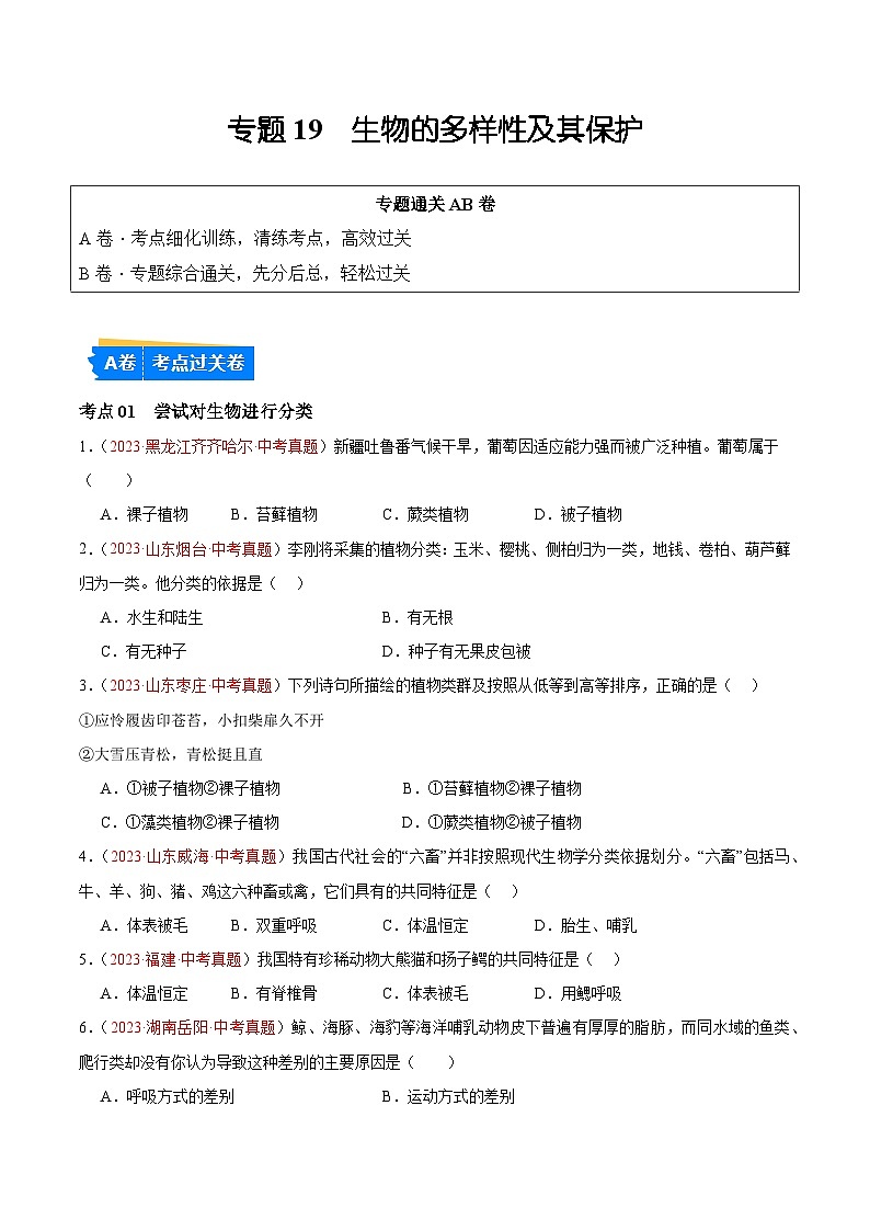 专题19 生物的多样性及其保护（原卷版）第1页