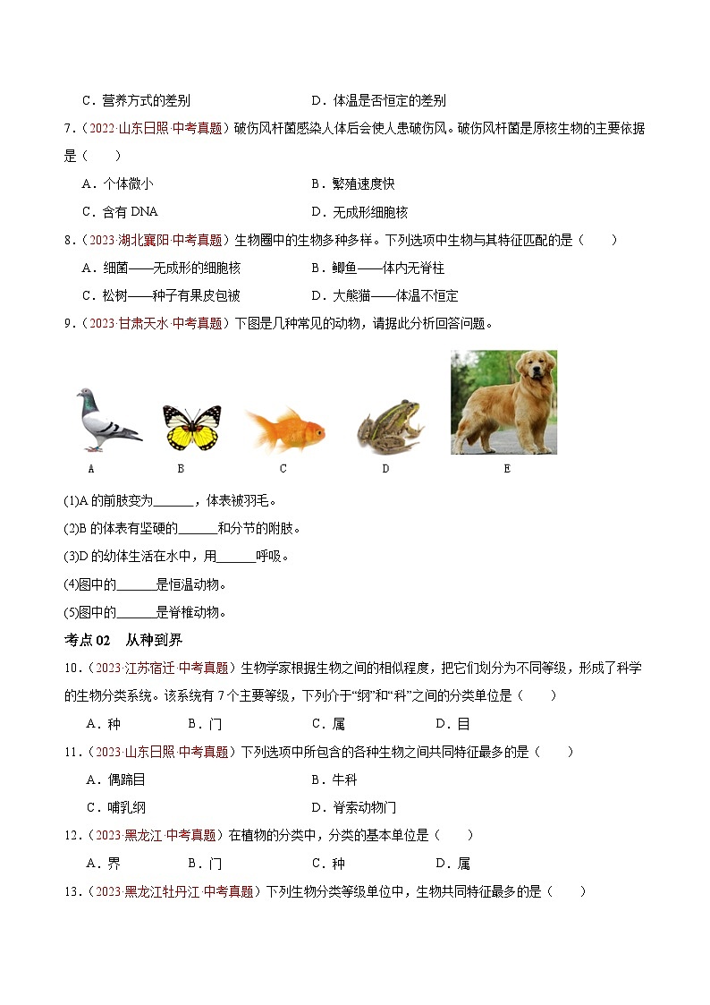 专题19 生物的多样性及其保护（原卷版）第2页